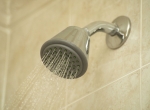 Shower Head